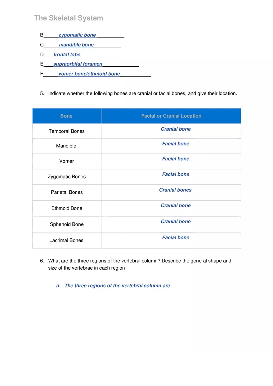 Lab 6 The Skeletal System - Page 5