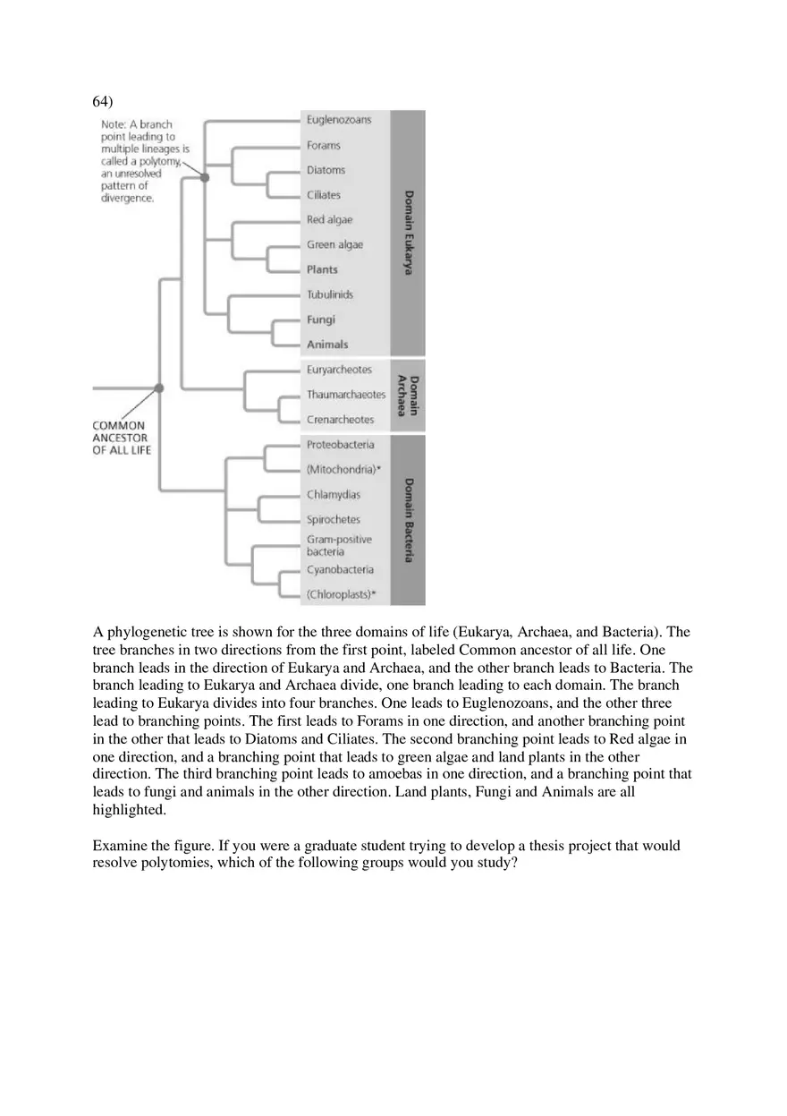 Phylogeny and the Tree of Life Part 2 - Page 7