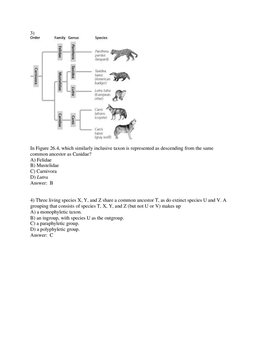 Phylogeny and the Tree of Life Part 2 - Page 10