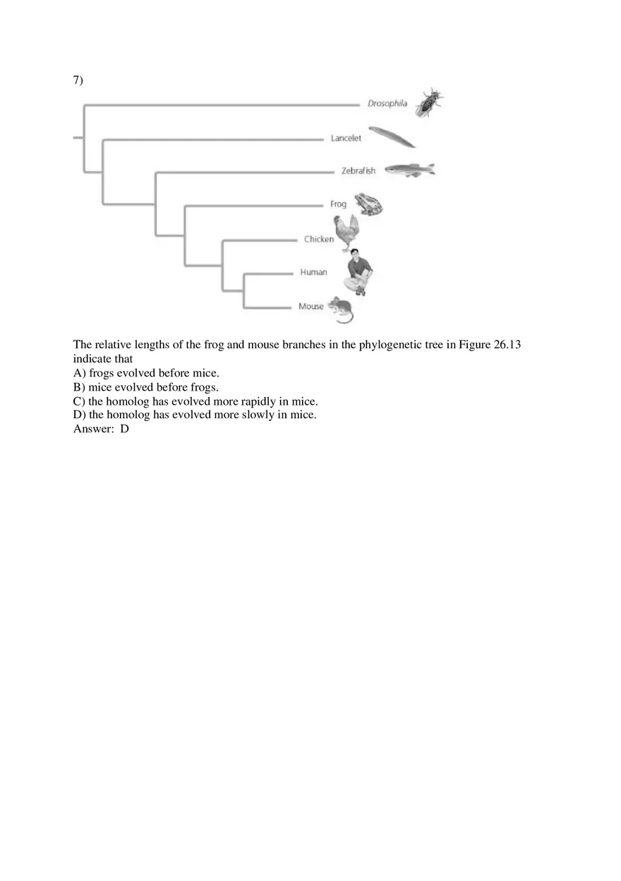 Phylogeny and the Tree of Life Part 2 - Page 12