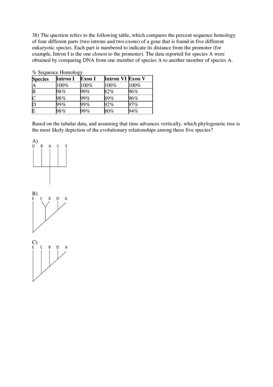 Phylogeny and the Tree of Life Part 2 - Page 13