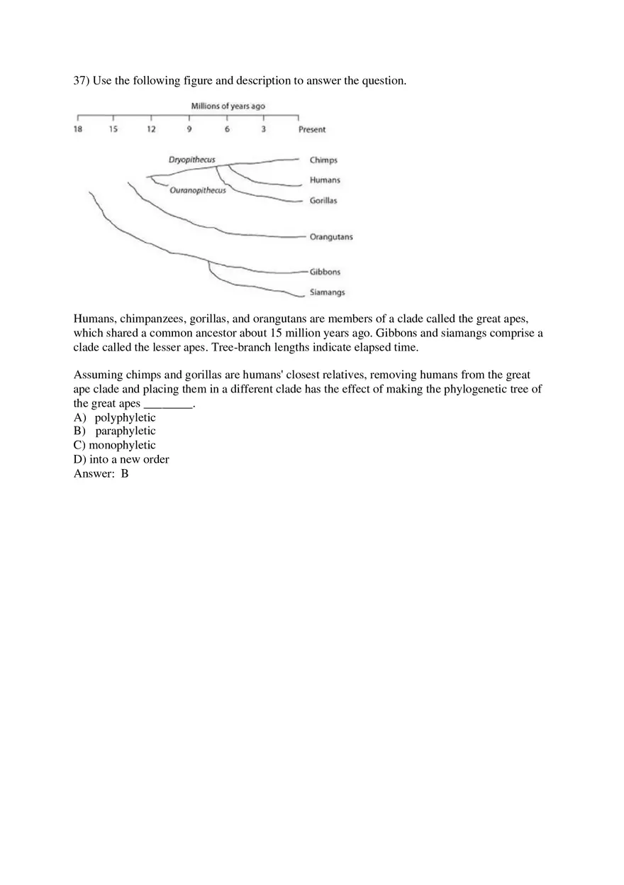 Phylogeny and the Tree of Life Part 2 - Page 2