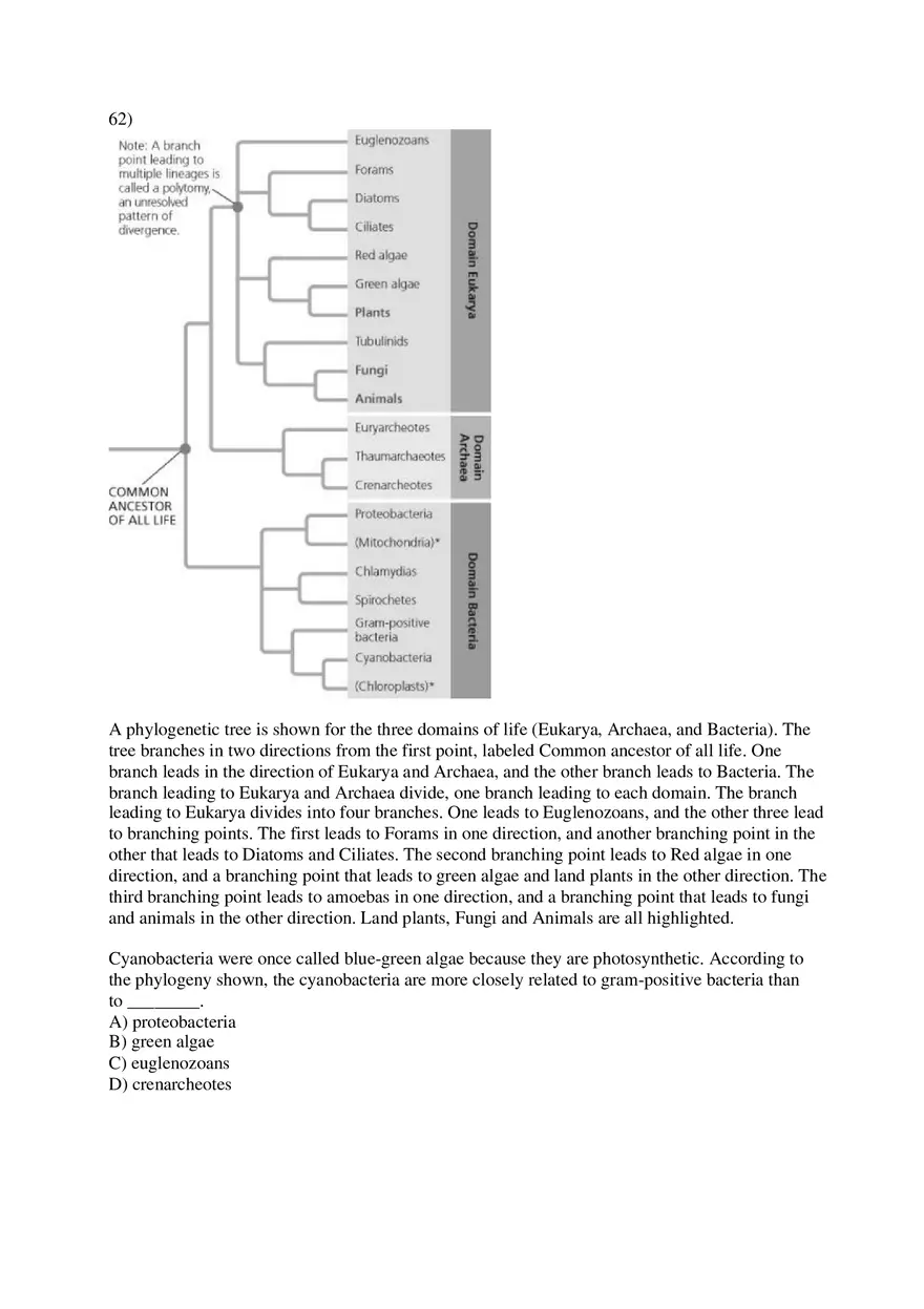 Phylogeny and the Tree of Life Part 2 - Page 5