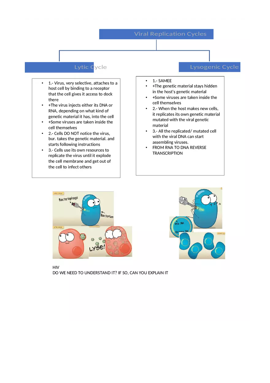 Chapter 21 Viruses - Lecture Notes - Page 2