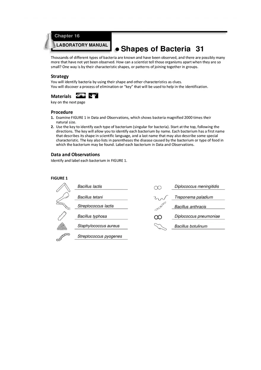 Seatwork on Shapes of Bacteria - Page 1