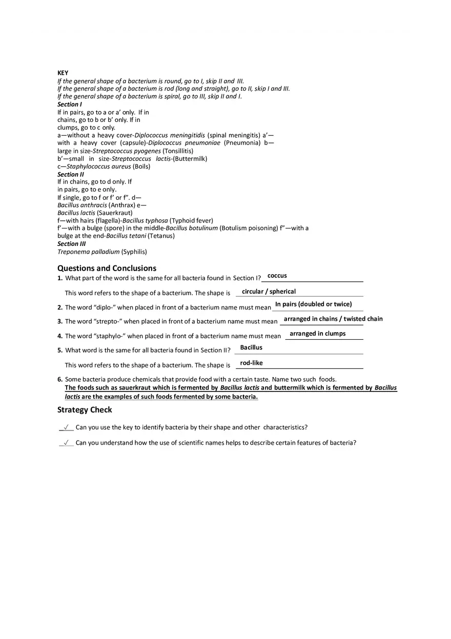 Seatwork on Shapes of Bacteria - Page 2