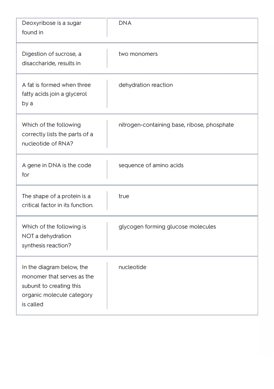 The Circulatory System of a Whale Part 2 - Page 7