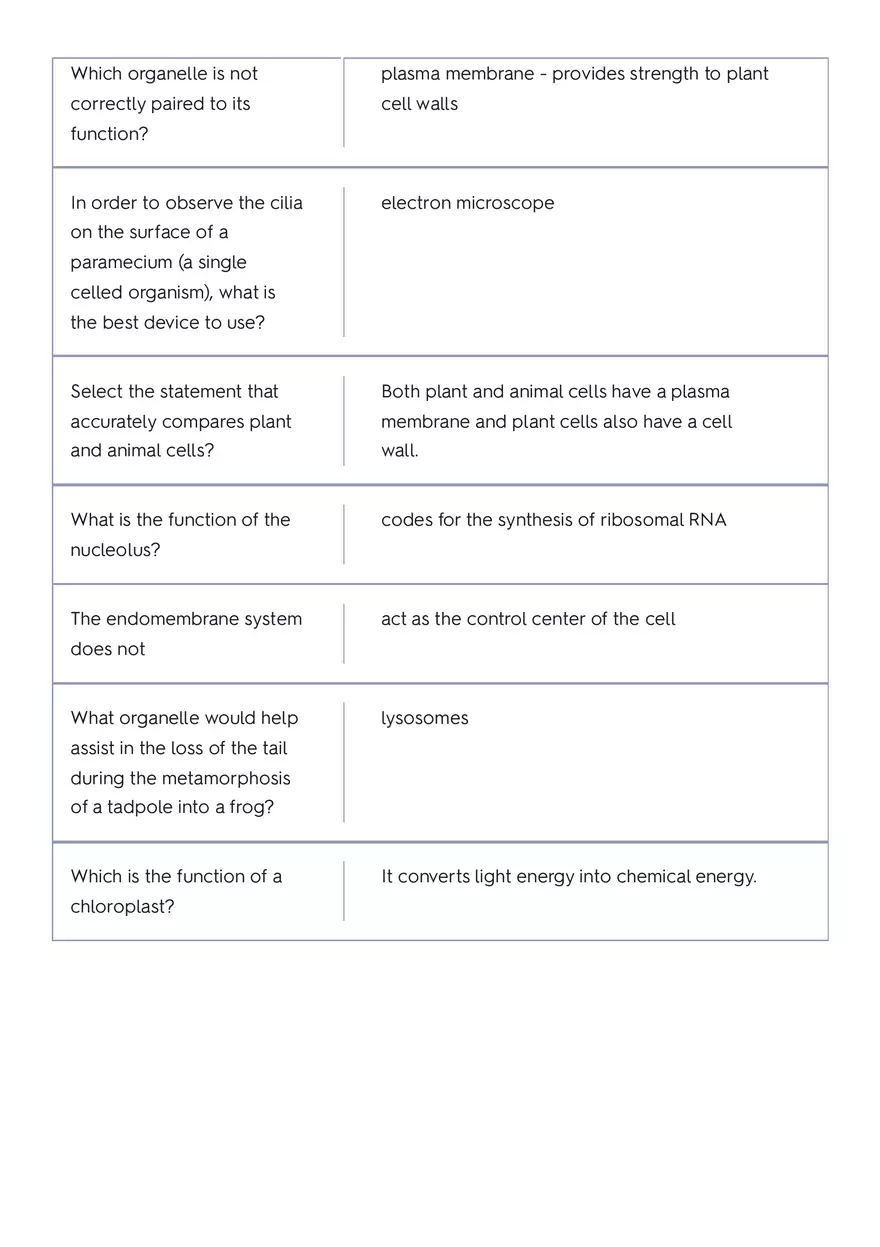 The Circulatory System of a Whale Part 2 - Page 11