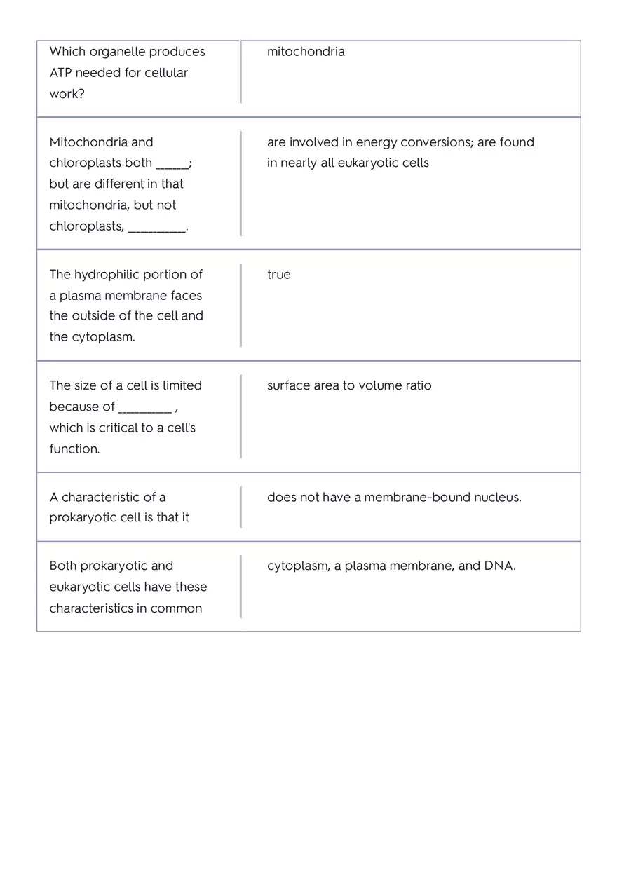 The Circulatory System of a Whale Part 2 - Page 12