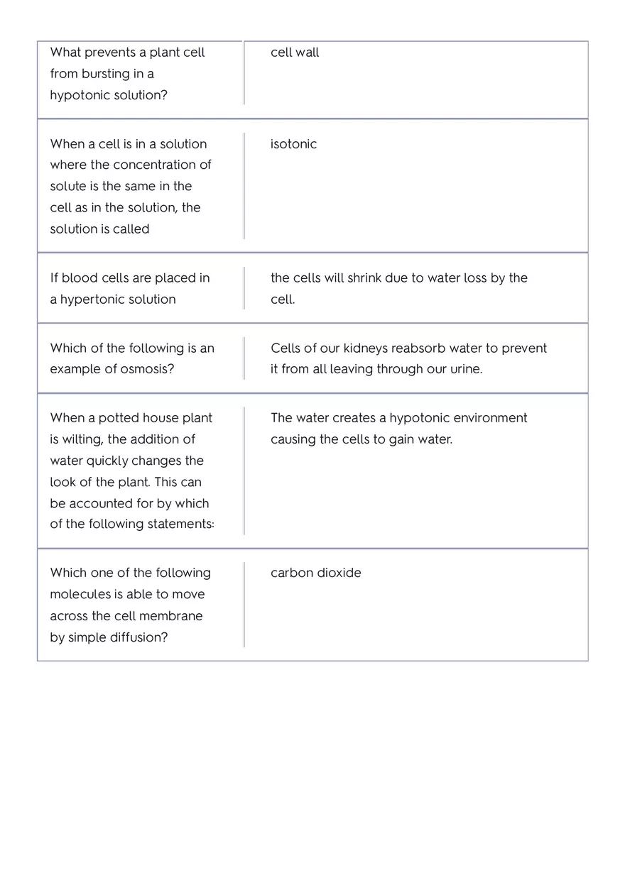 The Circulatory System of a Whale Part 2 - Page 4