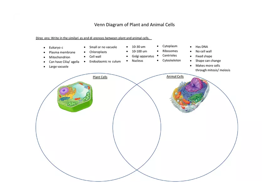 Animal Plant Cell Venn Diagram - Page 1