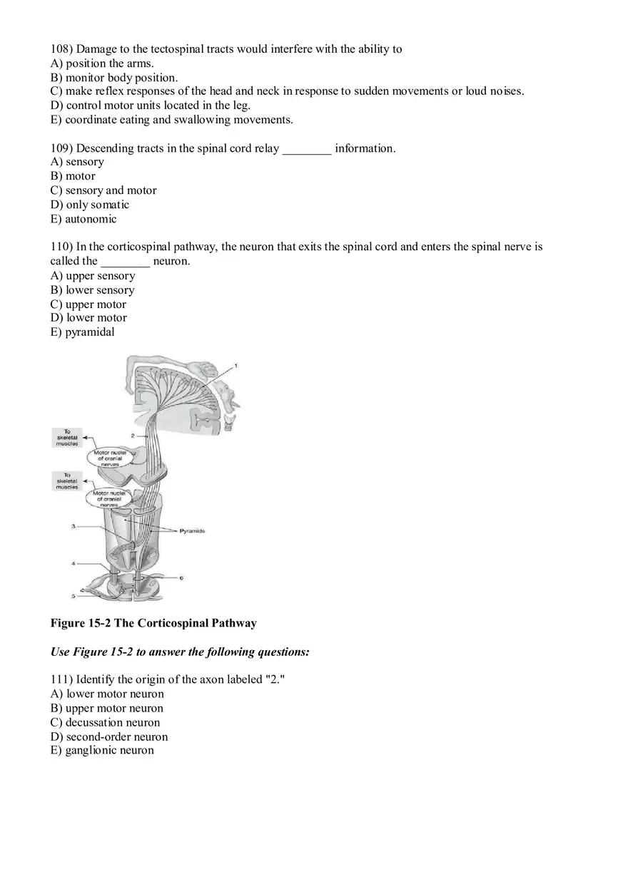 Sensory Pathway Exam Questions - Page 9
