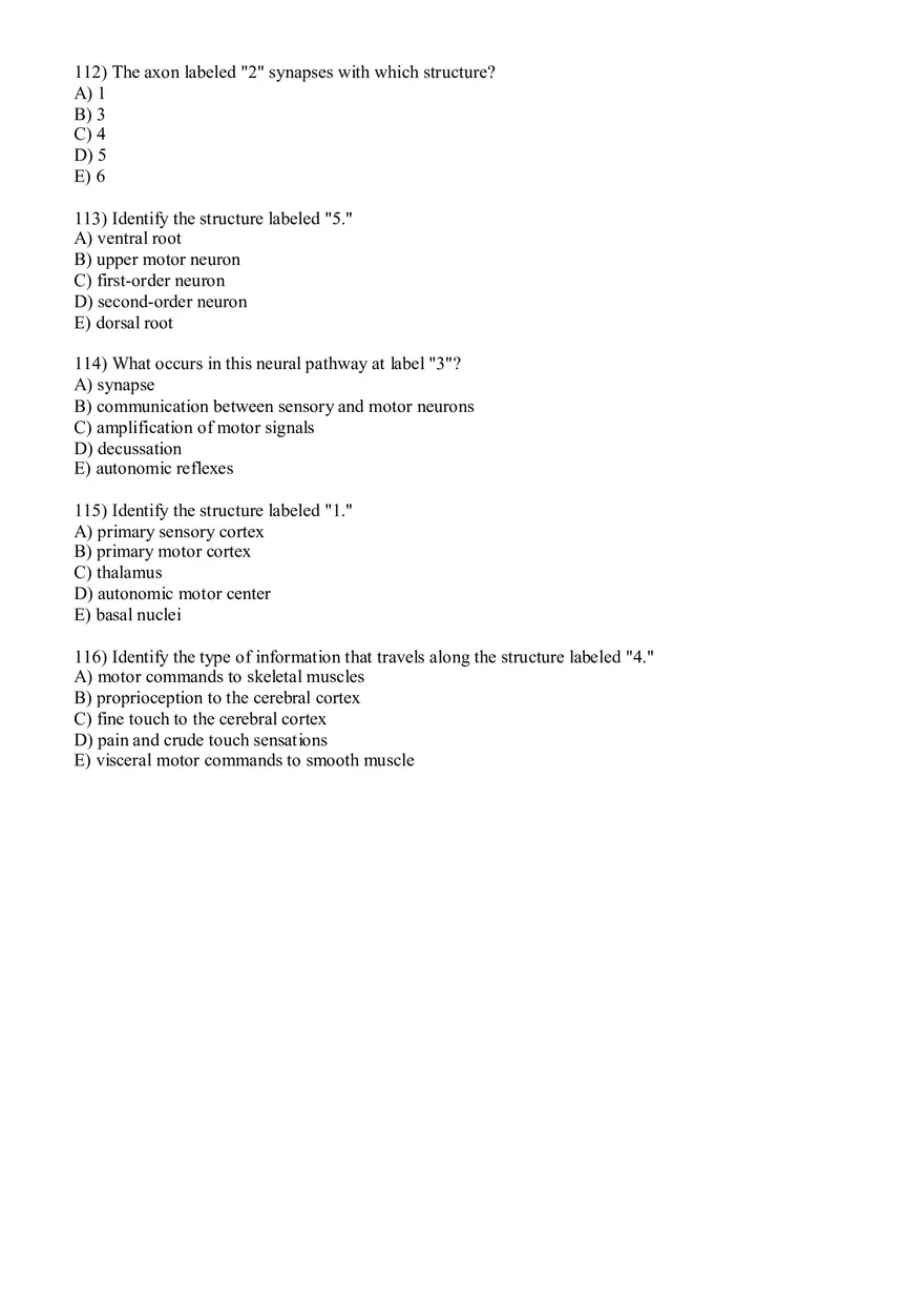 Sensory Pathway Exam Questions - Page 10