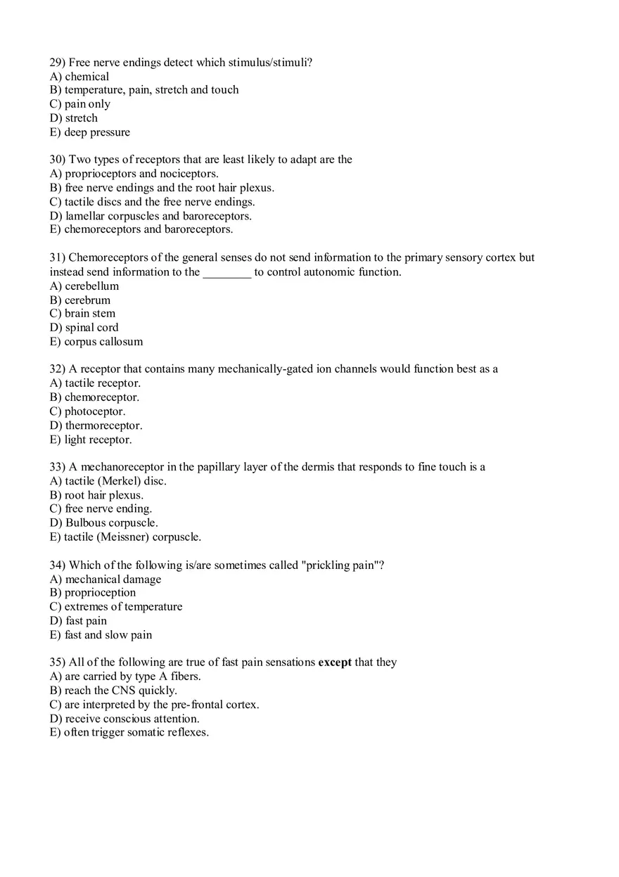 Sensory Pathway Exam Questions - Page 13