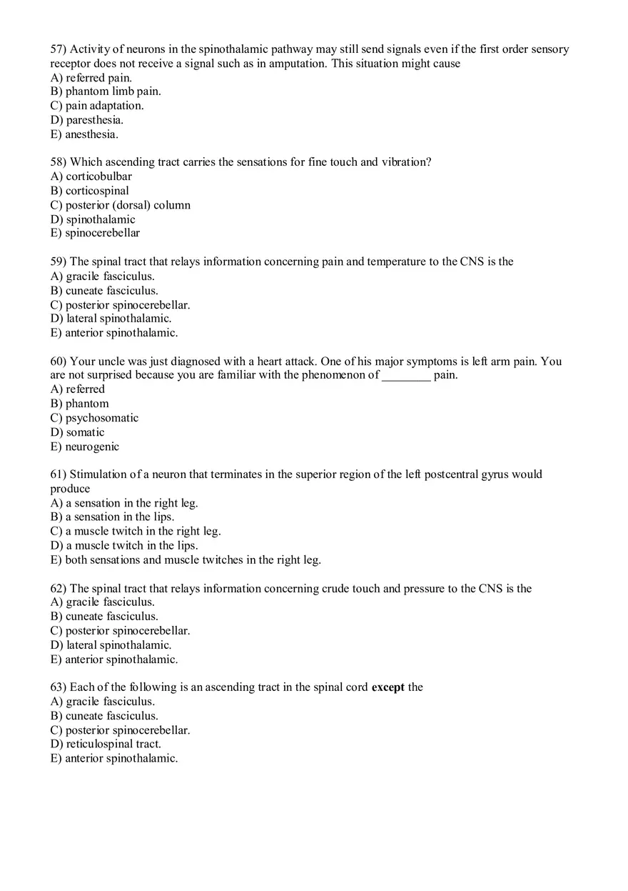 Sensory Pathway Exam Questions - Page 17