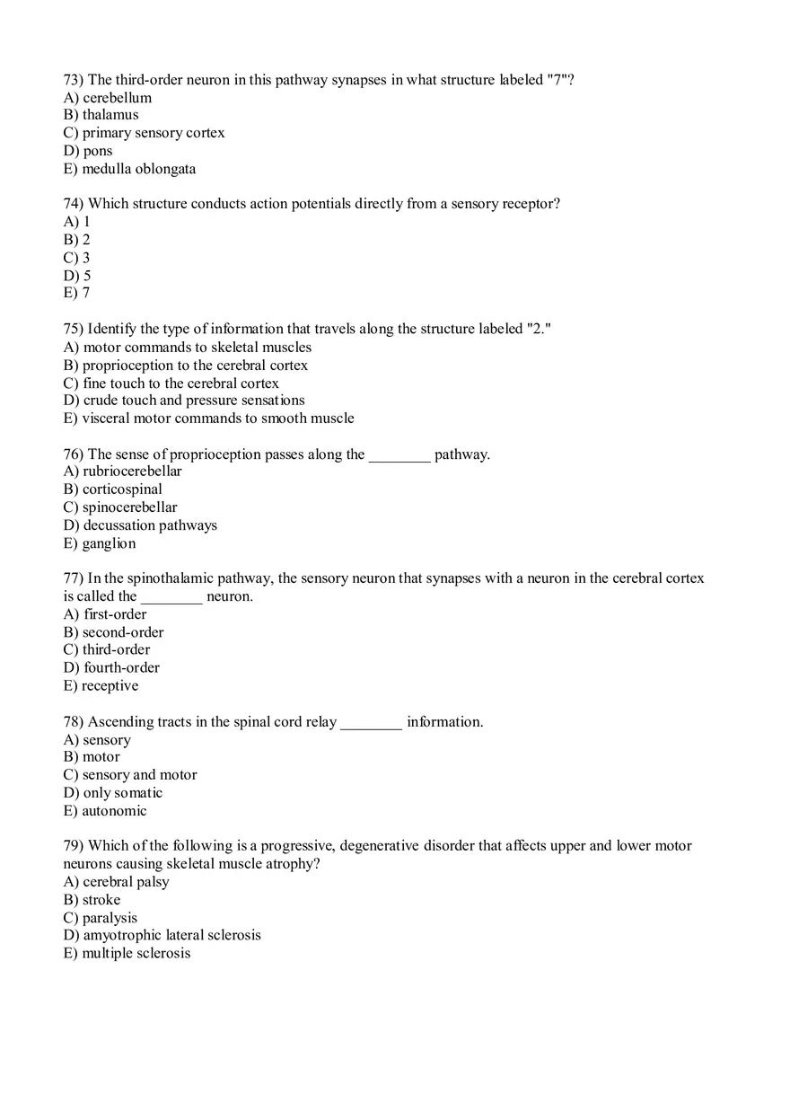 Sensory Pathway Exam Questions - Page 4