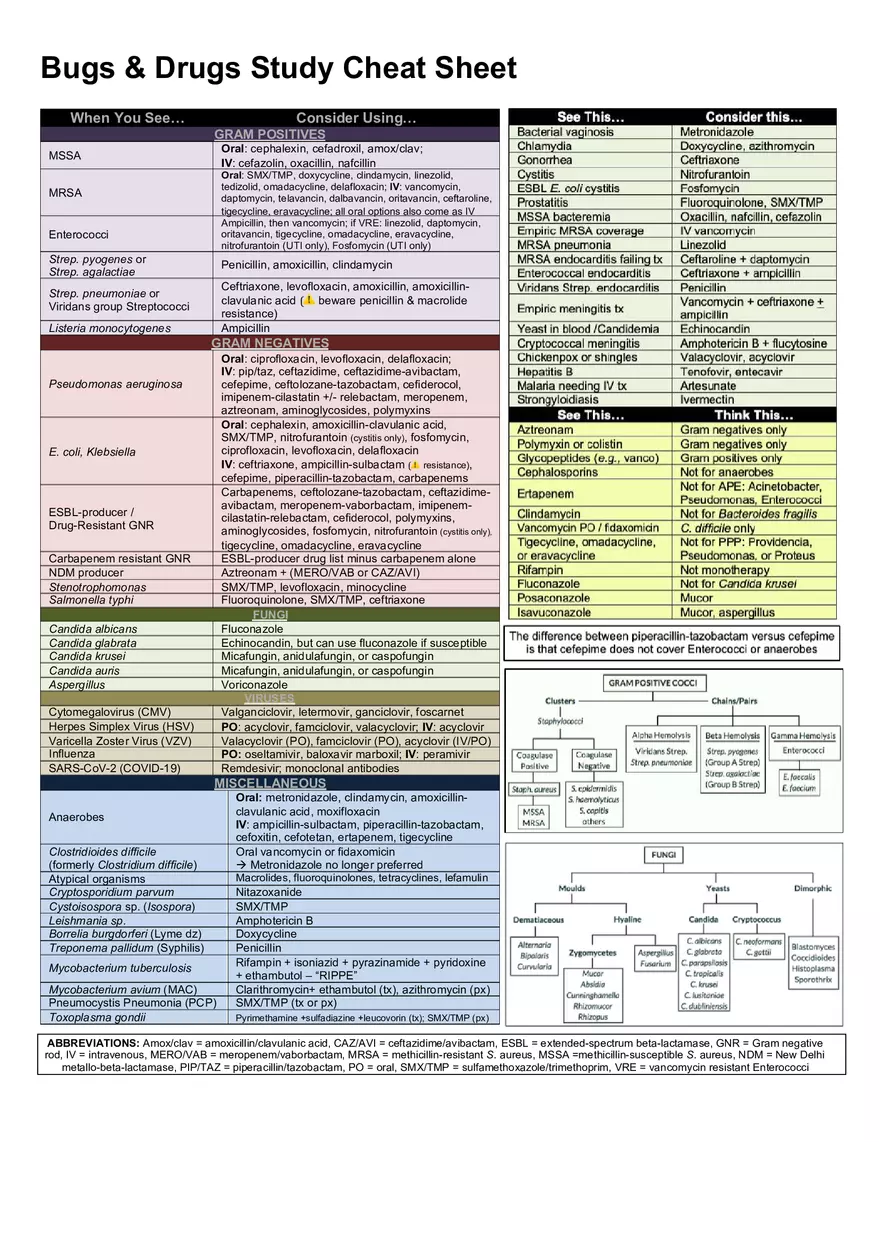 Bugs and Drugs Cheat Sheet - Page 1