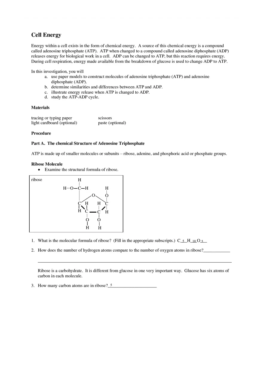 Cell Energy Worksheet - Page 1