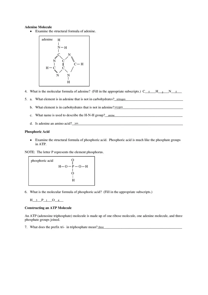 Cell Energy Worksheet - Page 2