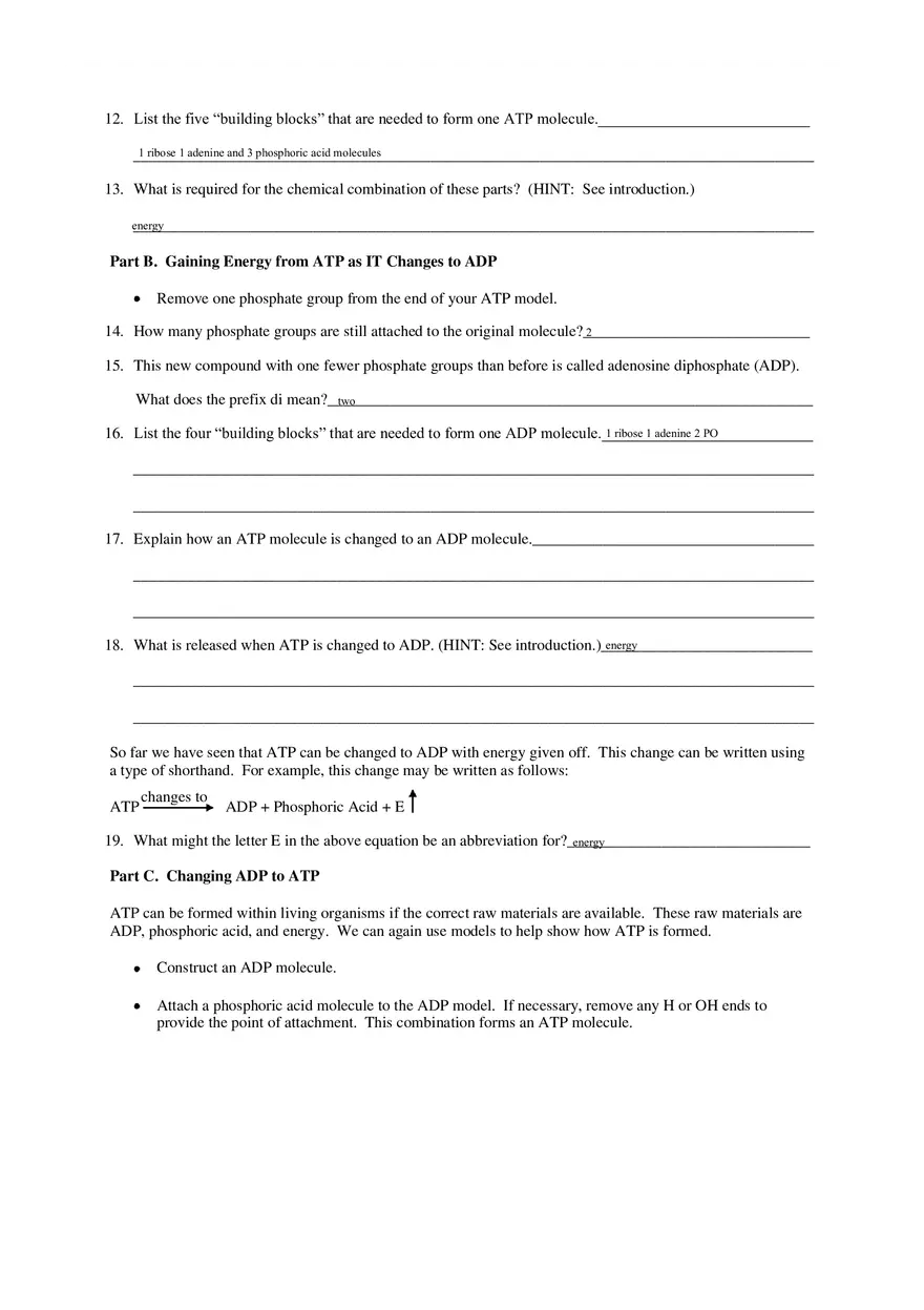 Cell Energy Worksheet - Page 4