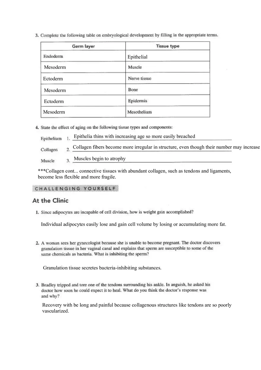 Chapter 4 Tissue Worksheet - Page 7