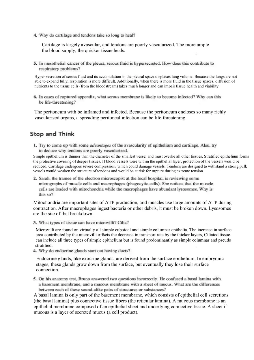 Chapter 4 Tissue Worksheet - Page 8