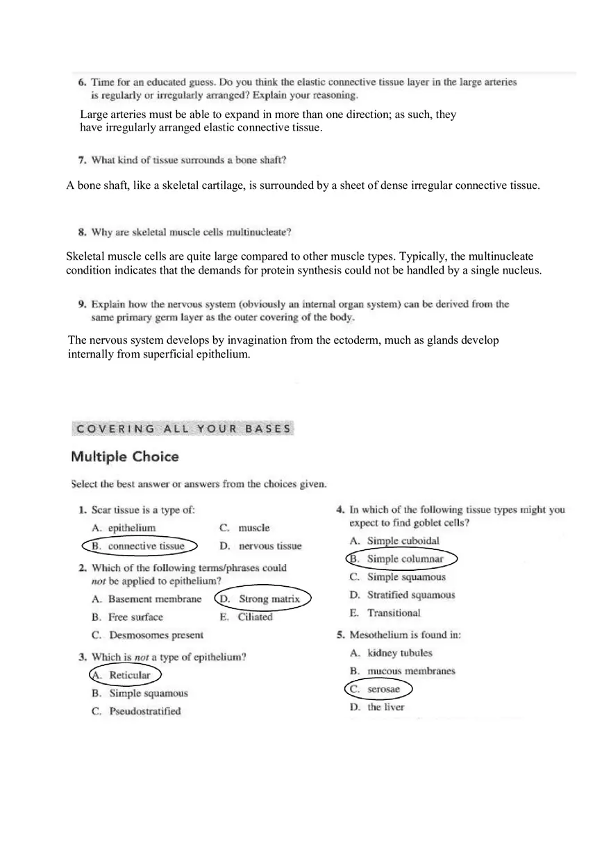 Chapter 4 Tissue Worksheet - Page 9