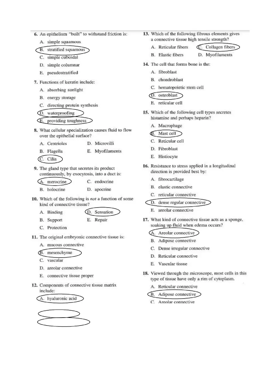 Chapter 4 Tissue Worksheet - Page 10