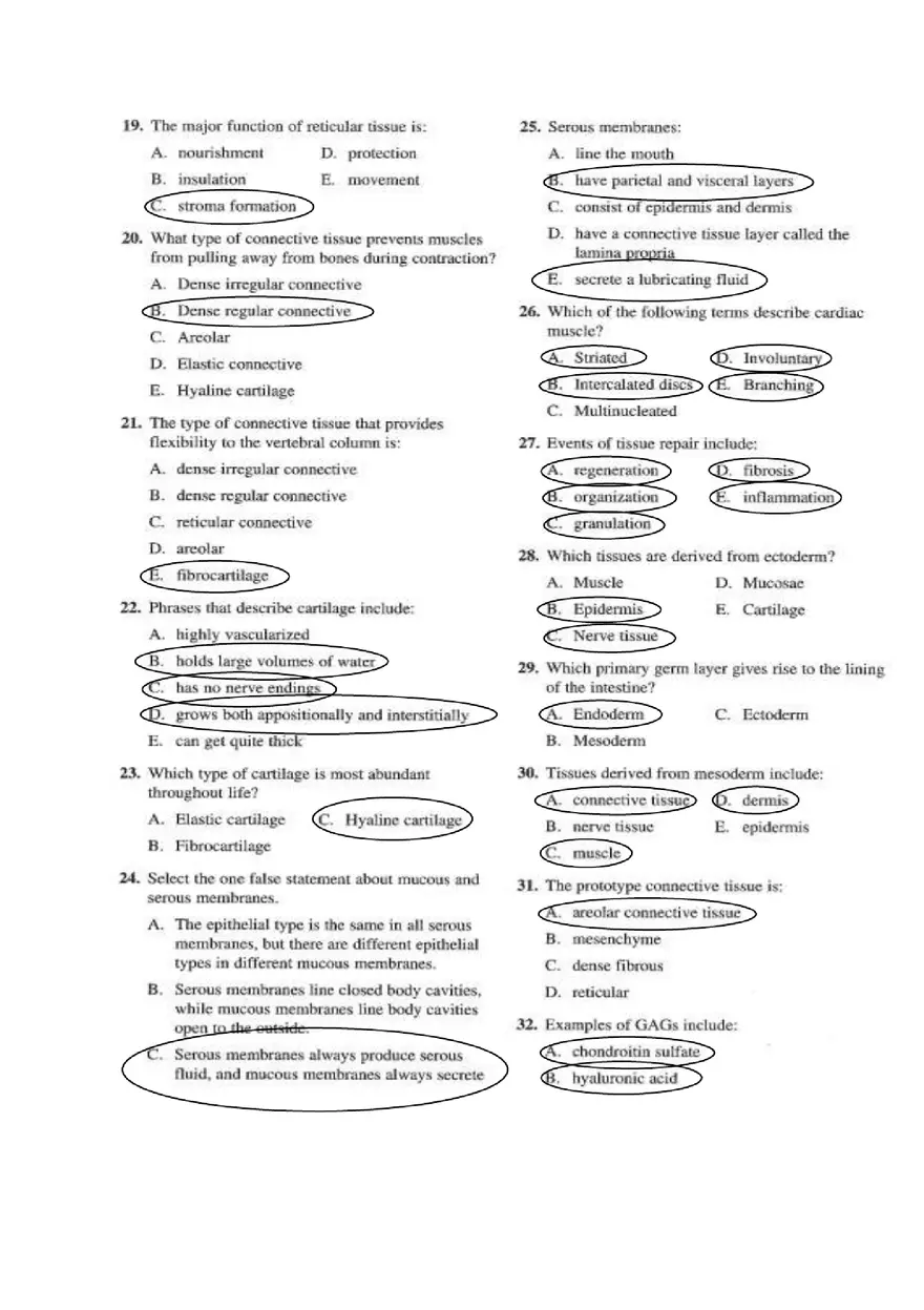 Chapter 4 Tissue Worksheet - Page 11