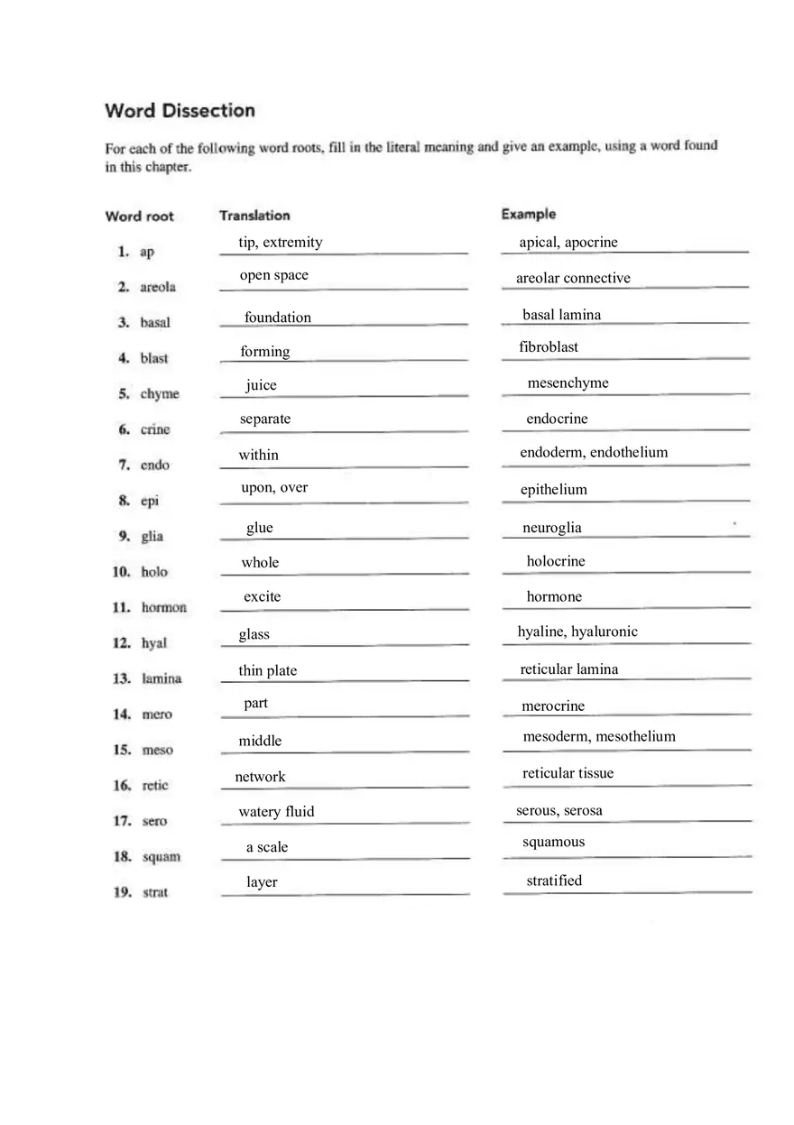 Chapter 4 Tissue Worksheet - Page 12