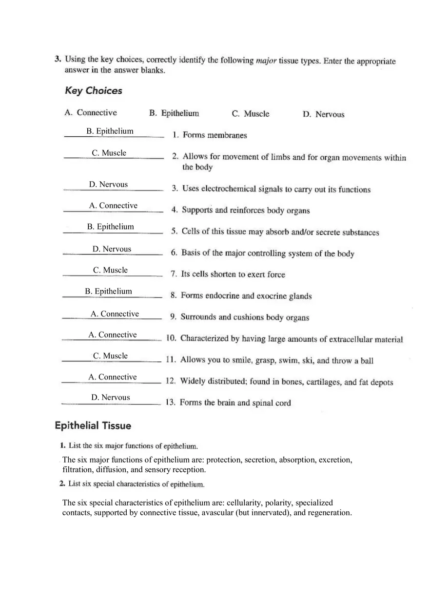 Chapter 4 Tissue Worksheet - Page 14