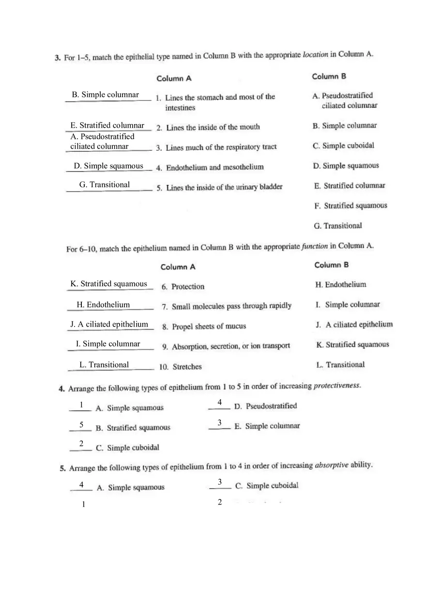 Chapter 4 Tissue Worksheet - Page 15