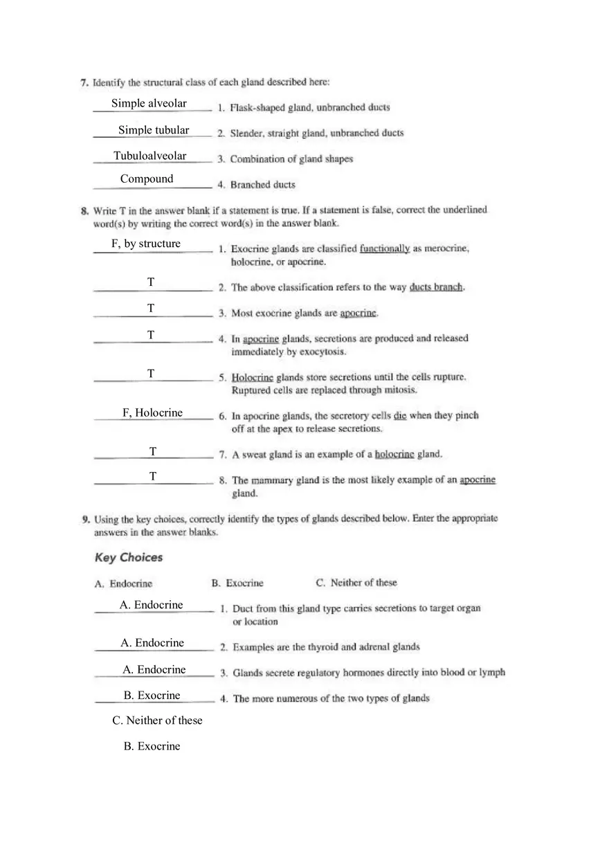 Chapter 4 Tissue Worksheet - Page 17