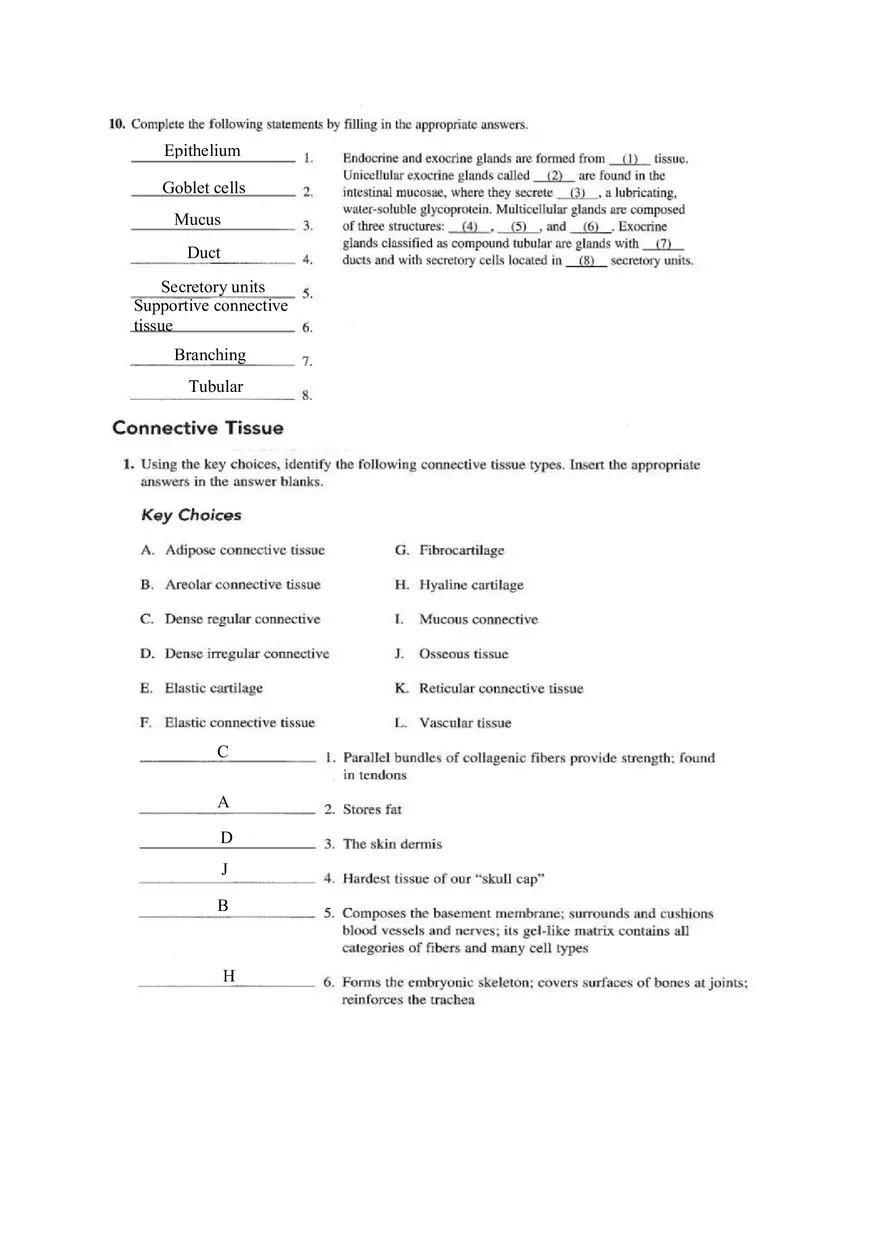Chapter 4 Tissue Worksheet - Page 18