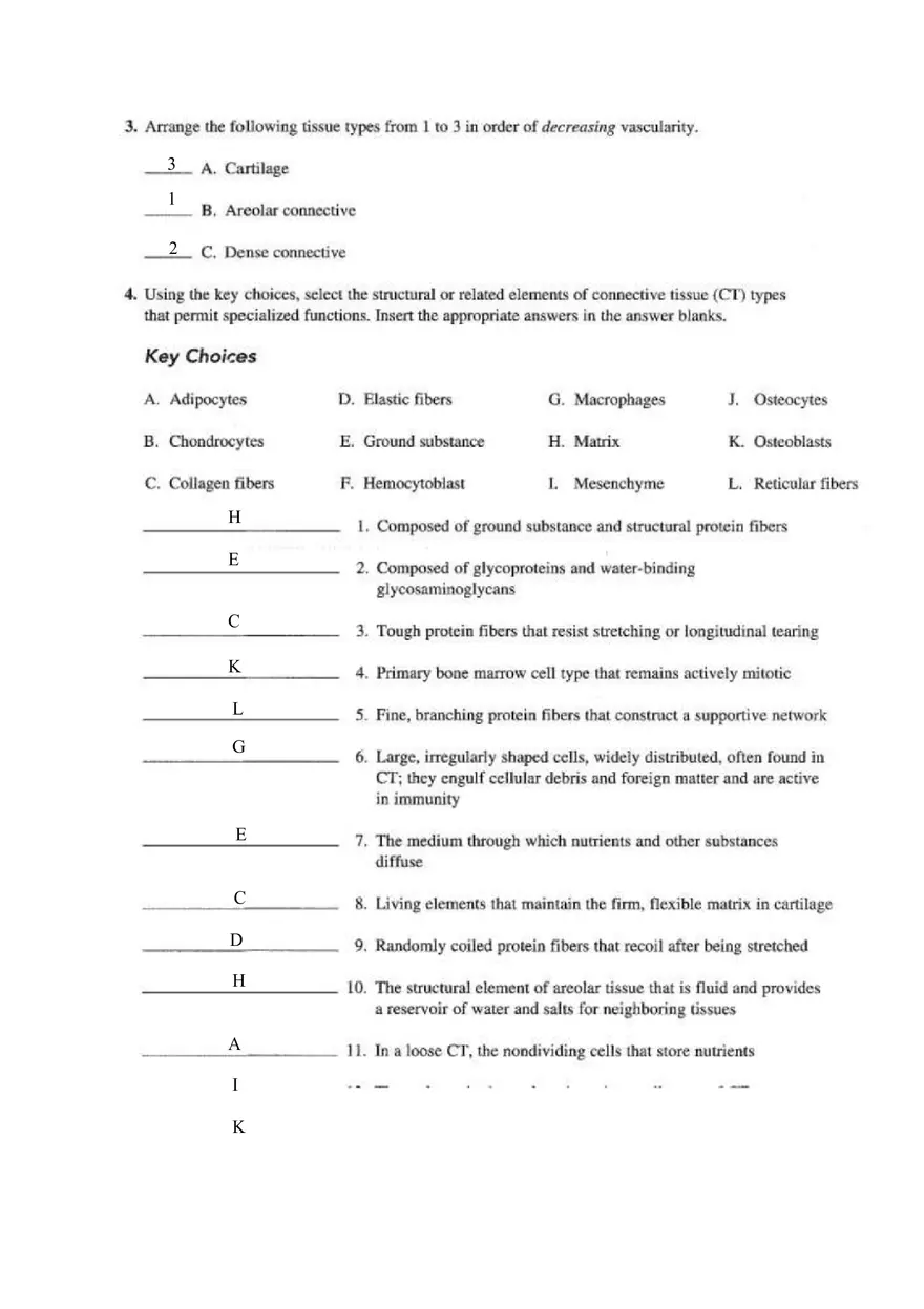 Chapter 4 Tissue Worksheet - Page 20