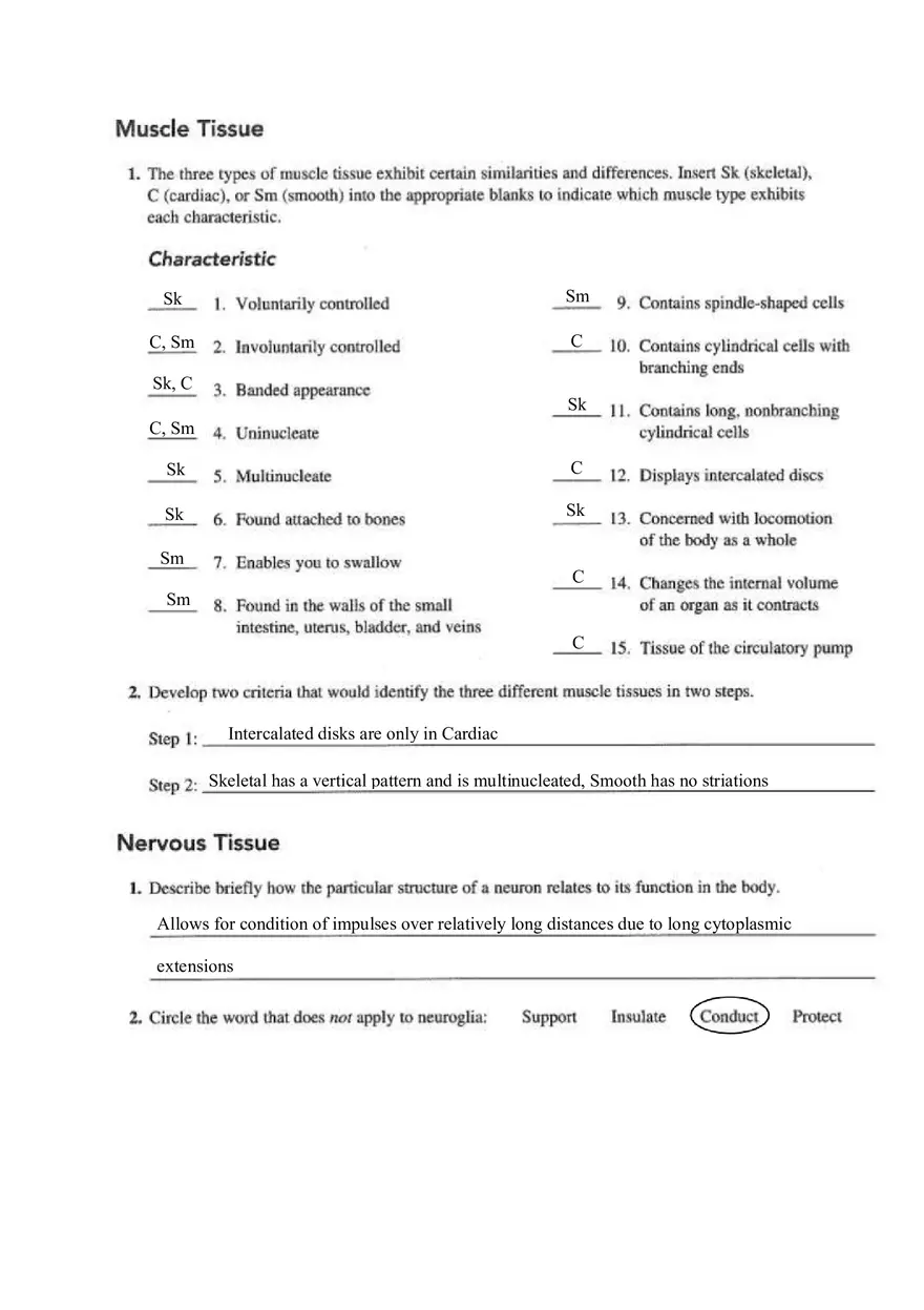 Chapter 4 Tissue Worksheet - Page 3