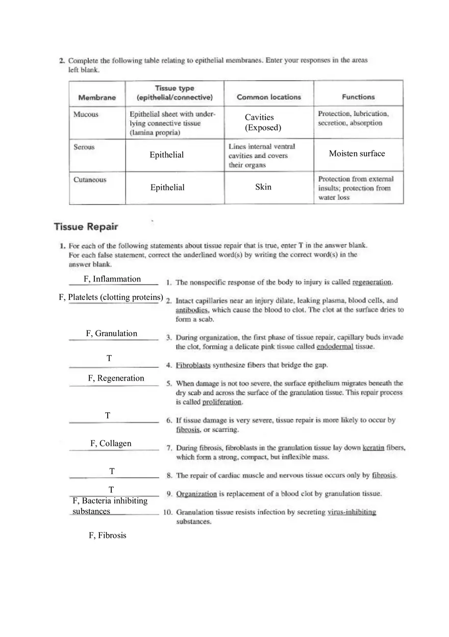 Chapter 4 Tissue Worksheet - Page 5