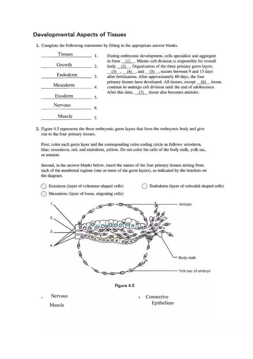 Chapter 4 Tissue Worksheet - Page 6