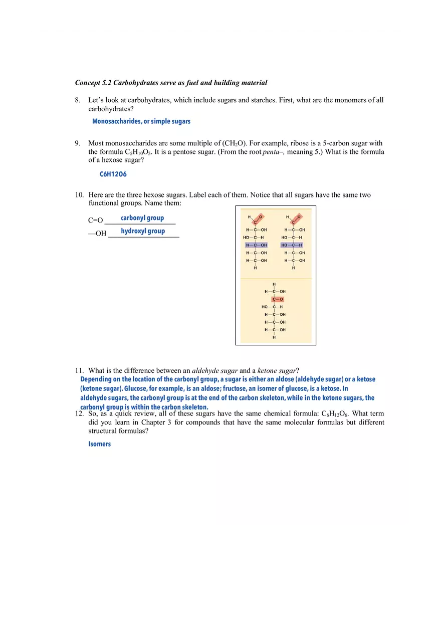 Ch 5 - The Structure and Function of Large Biological Molecules - Page 2