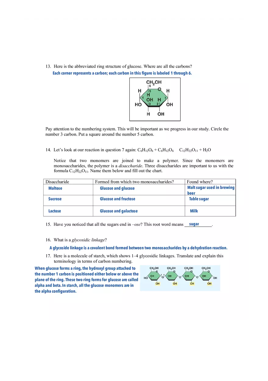 Ch 5 - The Structure and Function of Large Biological Molecules - Page 3