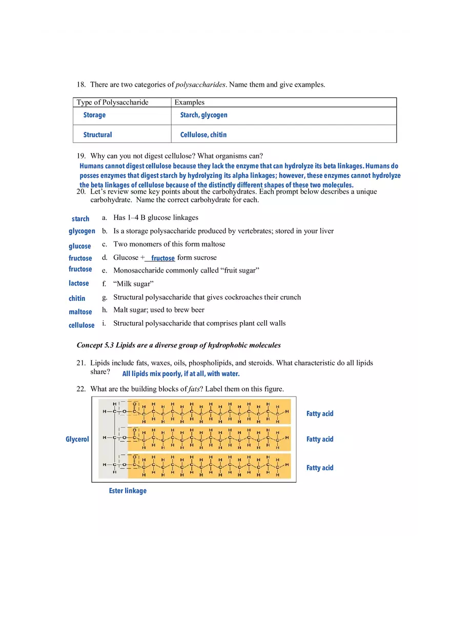 Ch 5 - The Structure and Function of Large Biological Molecules - Page 4