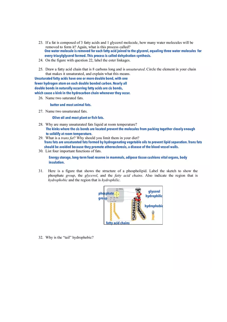 Ch 5 - The Structure and Function of Large Biological Molecules - Page 5