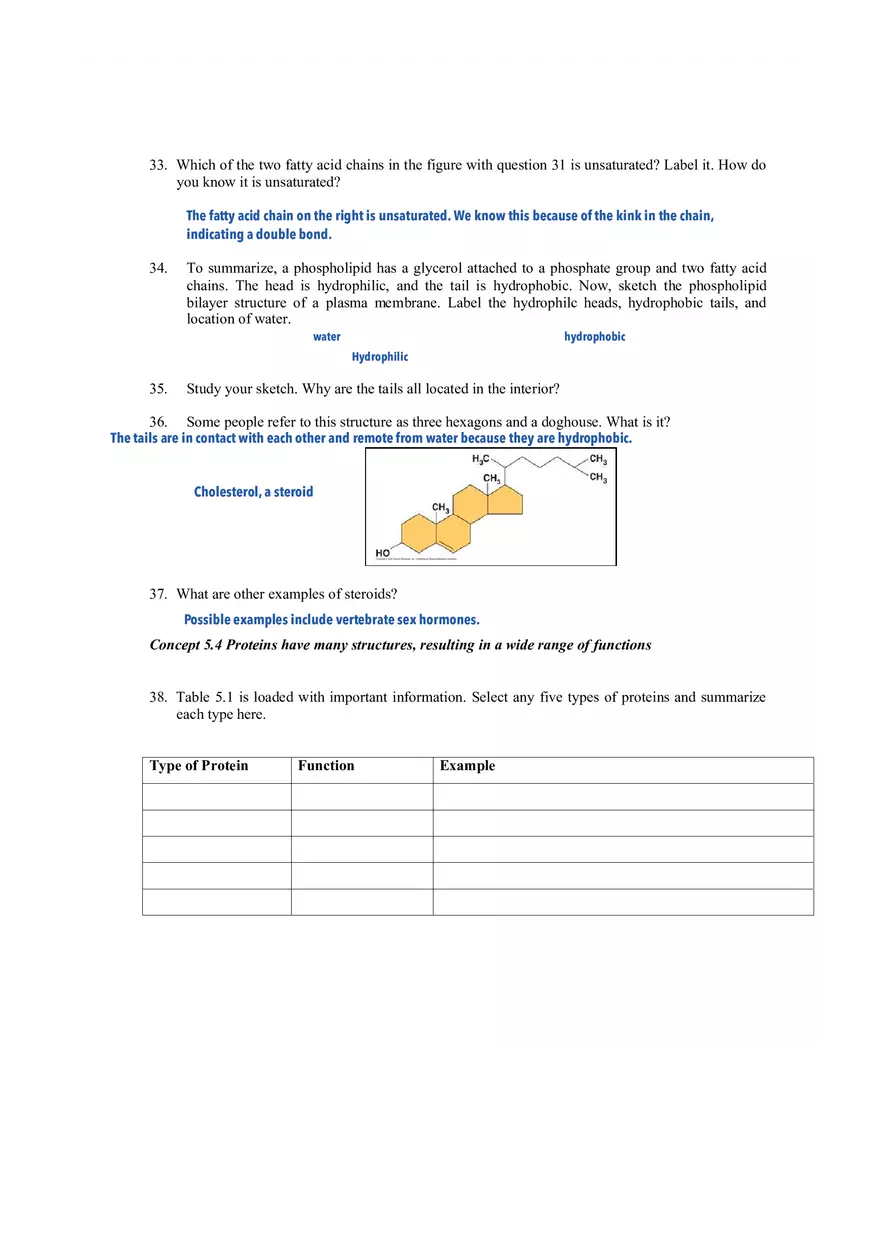 Ch 5 - The Structure and Function of Large Biological Molecules - Page 6