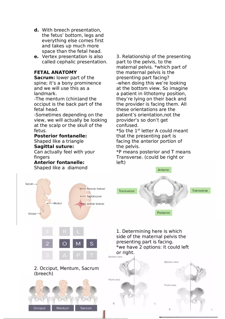 5 P's of Labor - Page 3