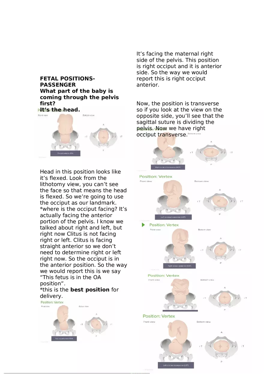 5 P's of Labor - Page 4