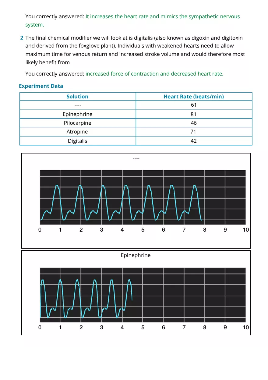 Cardiovascular Physiology Report - Page 2