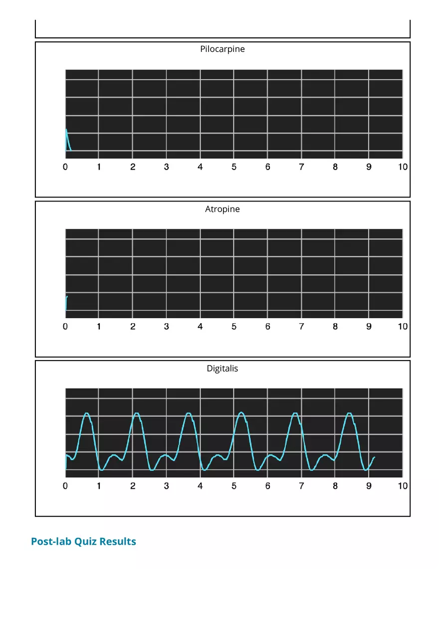 Cardiovascular Physiology Report - Page 3