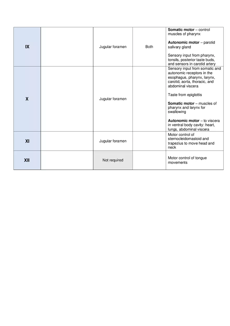 Unit 3 Cranial Nerves Worksheet - Page 2