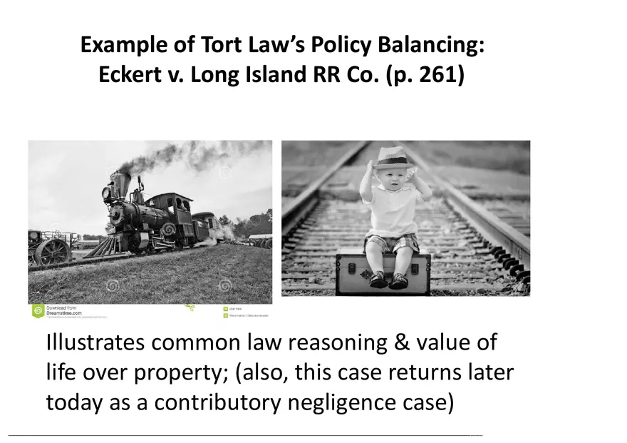 What is a Tort (Lecture) Part 2 - Page 2