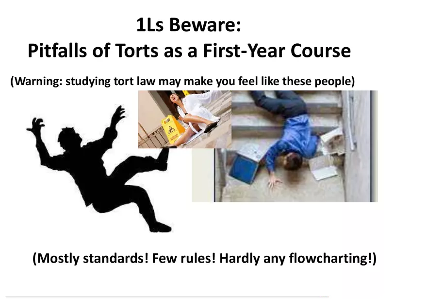 What is a Tort (Lecture) Part 2 - Page 4